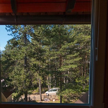 Zavicaj Apartmani3 Zaovine Luaran gambar